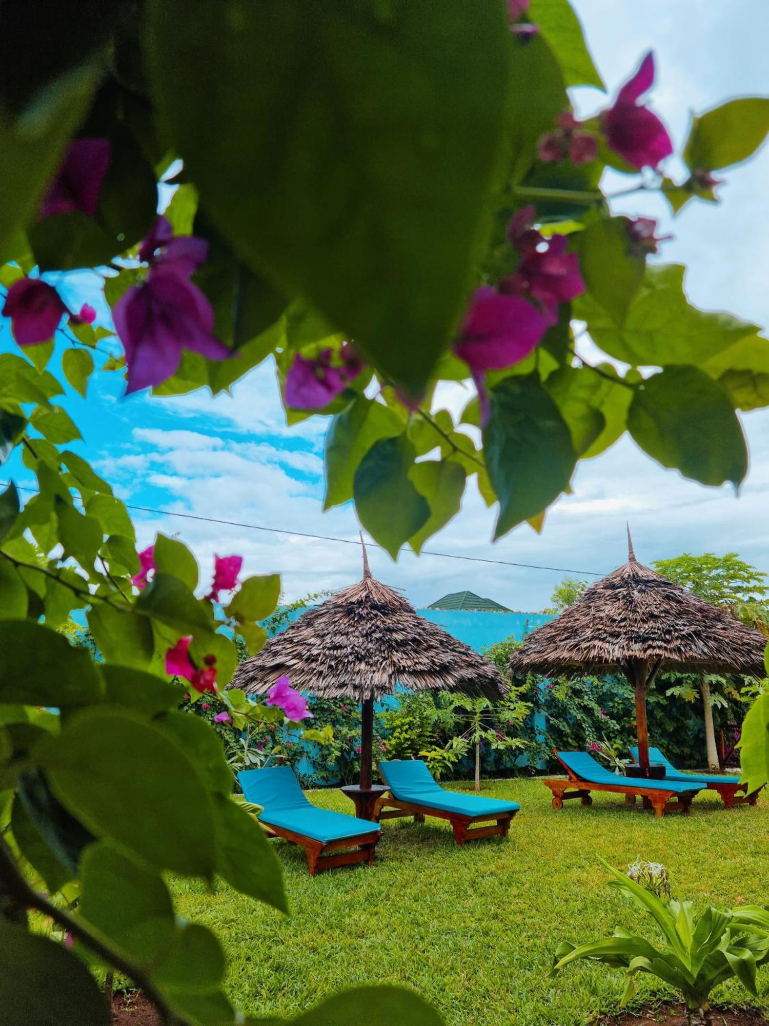 Bed and Breakfast Pineapple House Нунгві Екстер'єр фото